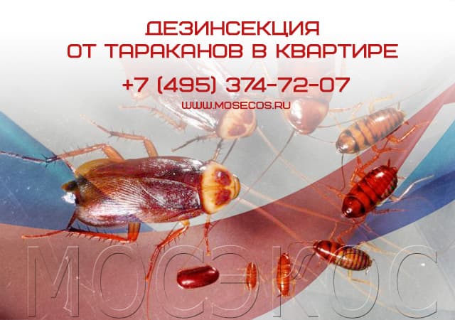 Дезинсекция от тараканов в квартире в Троицке